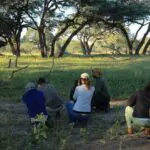 Embark on guided bush walks through the wilderness.