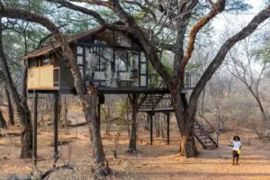 tum-tum-treehouse-treehouse-crombec-exterior_1
