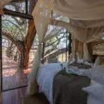 Wake to the sighs and sounds of the wilderness.