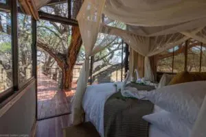 Wake to the sighs and sounds of the wilderness.