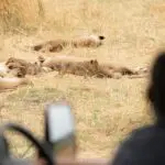 View a wide array of wildlife.