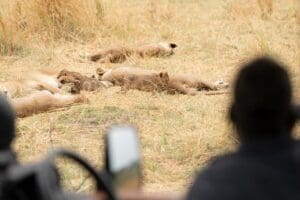 View a wide array of wildlife.