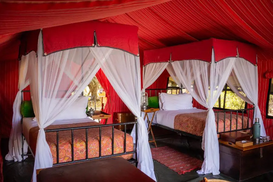 expeditions-camp-1772185453267botsexpeditions-campguest-tent-interior-5