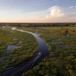 Embark on boating safaris through the Okavango Delta.