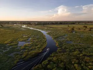 Embark on boating safaris through the Okavango Delta.