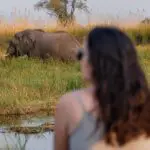 Watch wildlife from the water.