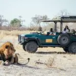 See the Big Five on guided game drives.