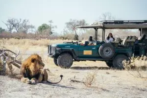 See the Big Five on guided game drives.