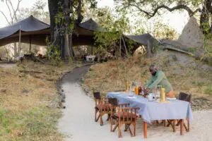 Dine under the stars each evening. 
