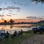 Enjoy sunset game drives and drinks.