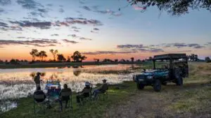 Enjoy sunset game drives and drinks.