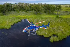 Soar over the Delta on helicopter flights.