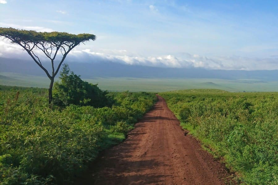 Safari vehicle driving along a quiet dirt road across the Ngorongoro Crater floor, with open plains and minimal traffic | Go2Africa