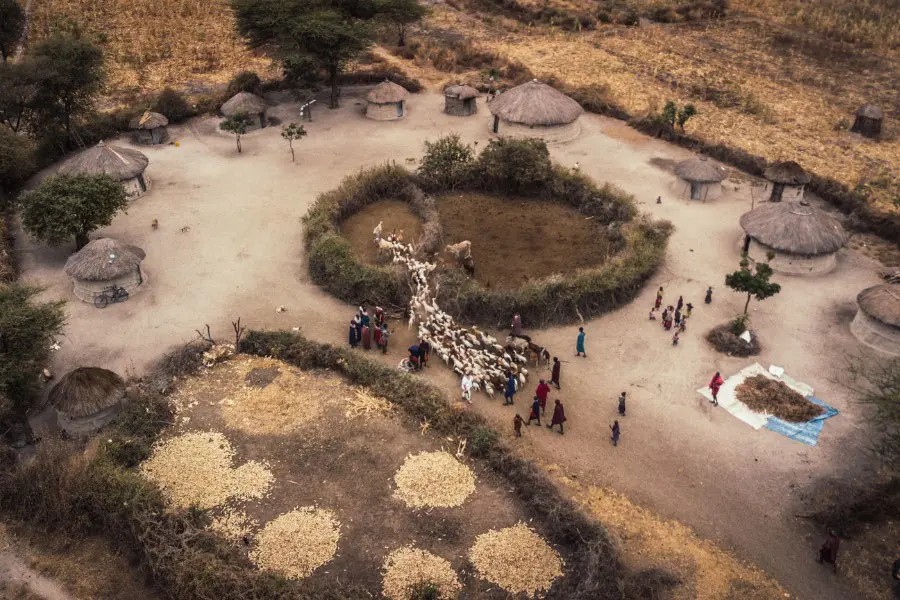 Circular Maasai boma with thatched huts and livestock enclosures set in the Ngorongoro Highlands, reflecting traditional pastoral life | Go2Africa