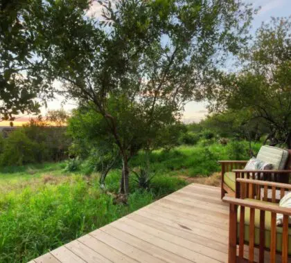 Look out over the bush from the family suite deck. 