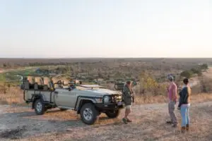 Embark on daily game drives into the surrounding reserve.