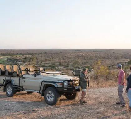 Embark on daily game drives into the surrounding reserve.