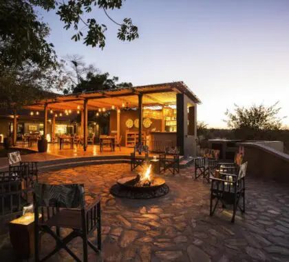 Catch up on the day's sightings around the firepit each evening.