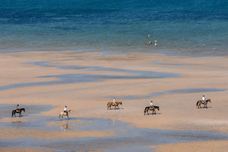 Travellers horse riding across a wide sandy beach in Mozambique | Go2Africa