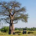 Discover the surrounding landscapes.