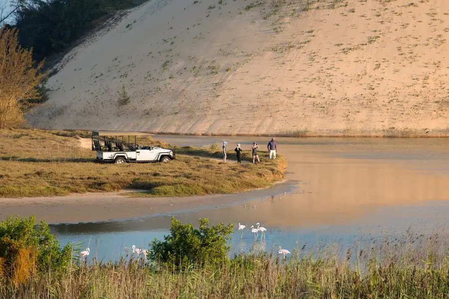 Guests beside a safari vehicle overlooking a lagoon and sand dunes | Go2Africa