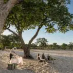 Sip on sundowners in the bush.
