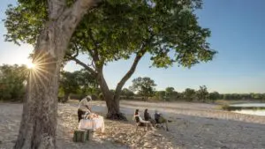 Sip on sundowners in the bush. 