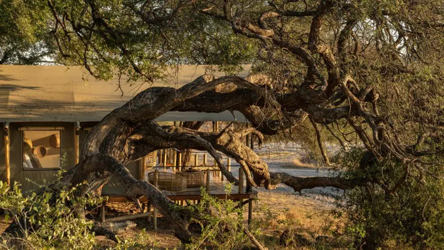 tithaka-river-lodge-family-room2