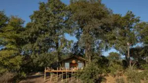 Escape to the comfort of your private tented suite.