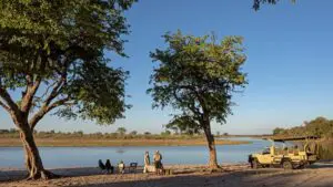 Stay on the banks of the Kwando River. 