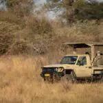 Embark on twice daily game drives.