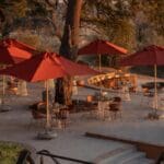 Catch up on the day's activities at the boma each evening.