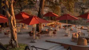 Catch up on the day's activities at the boma each evening. 